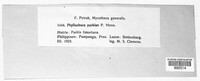 Phyllachora acaciae image